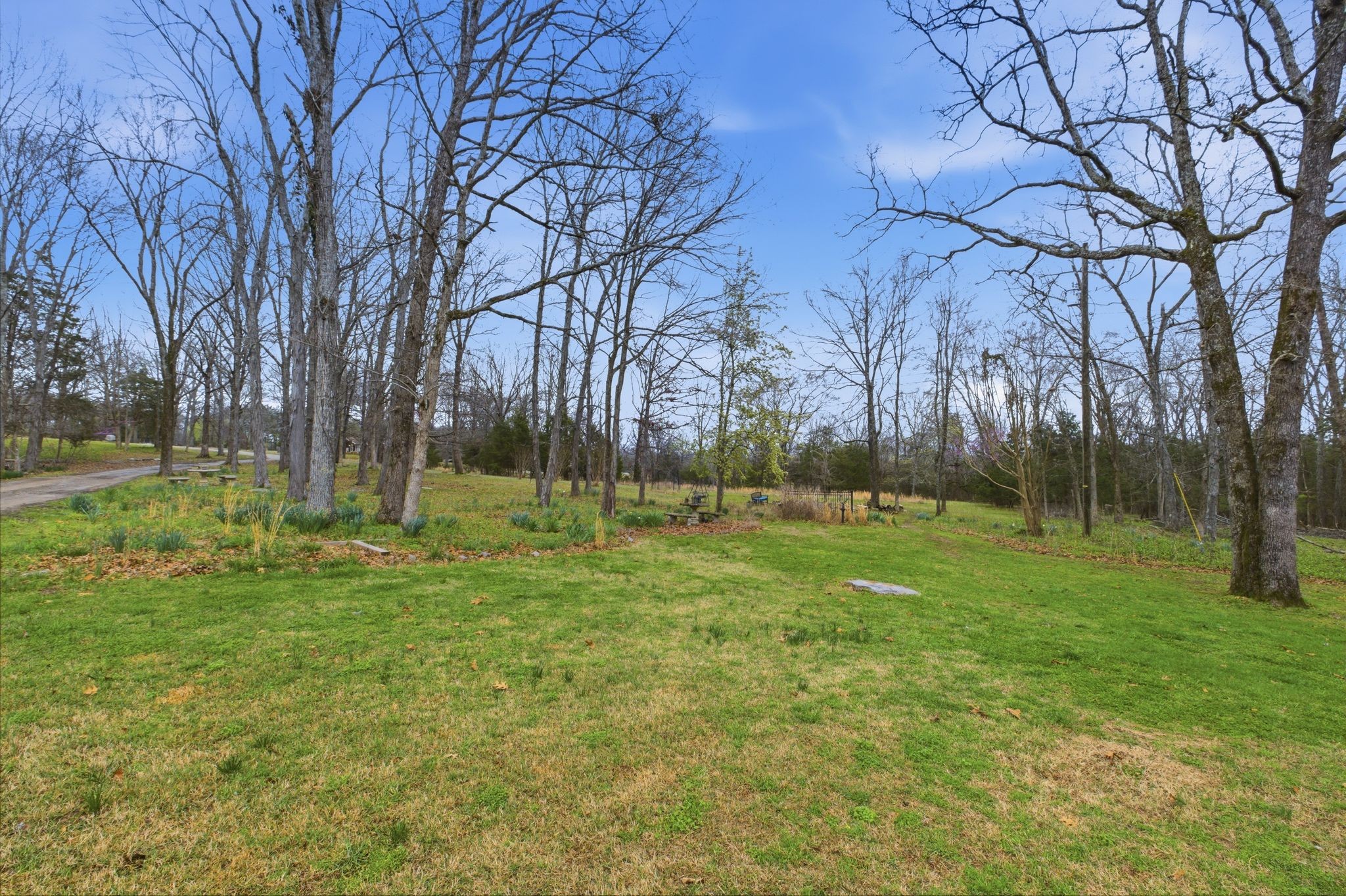 4708 Hessey Road Mount Juliet, TN 37122 - Photo 28 of 44 a view of a park with large trees