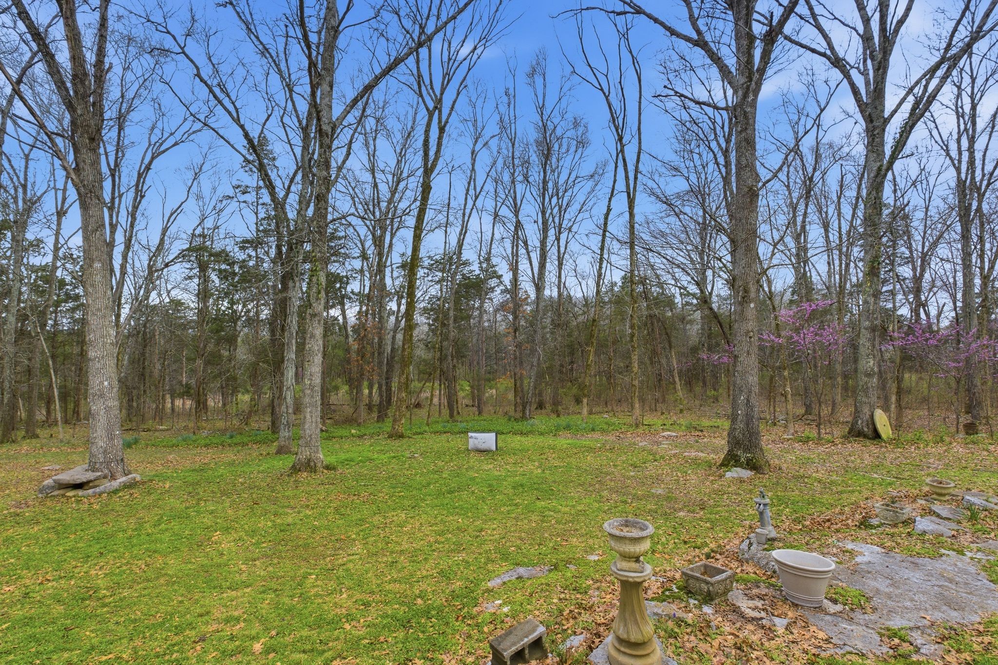 4708 Hessey Road Mount Juliet, TN 37122 - Photo 29 of 44 a backyard of apartments with large trees