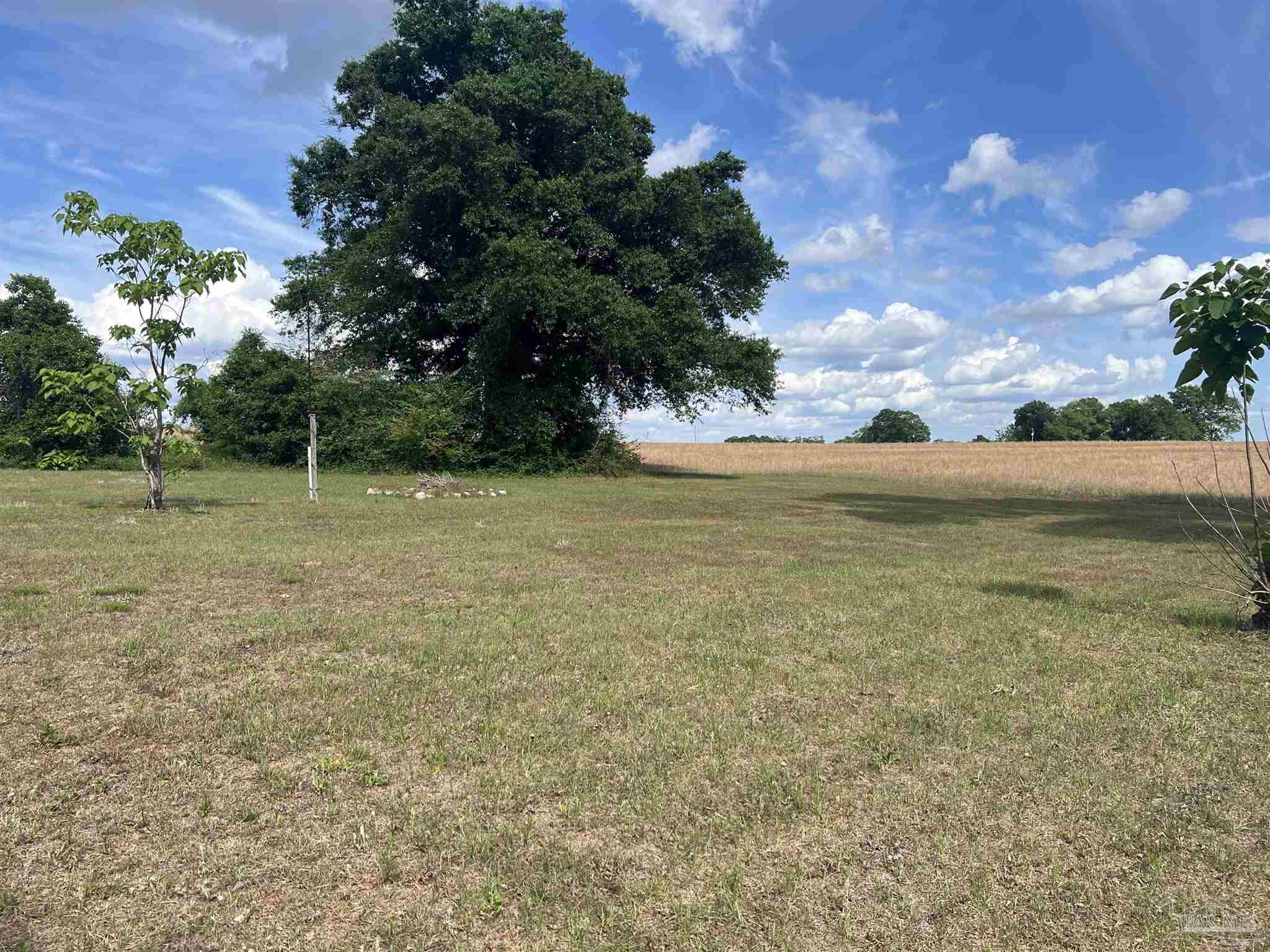 1616 Damascus Road Brewton, AL 36426 - Photo 3 of 29
