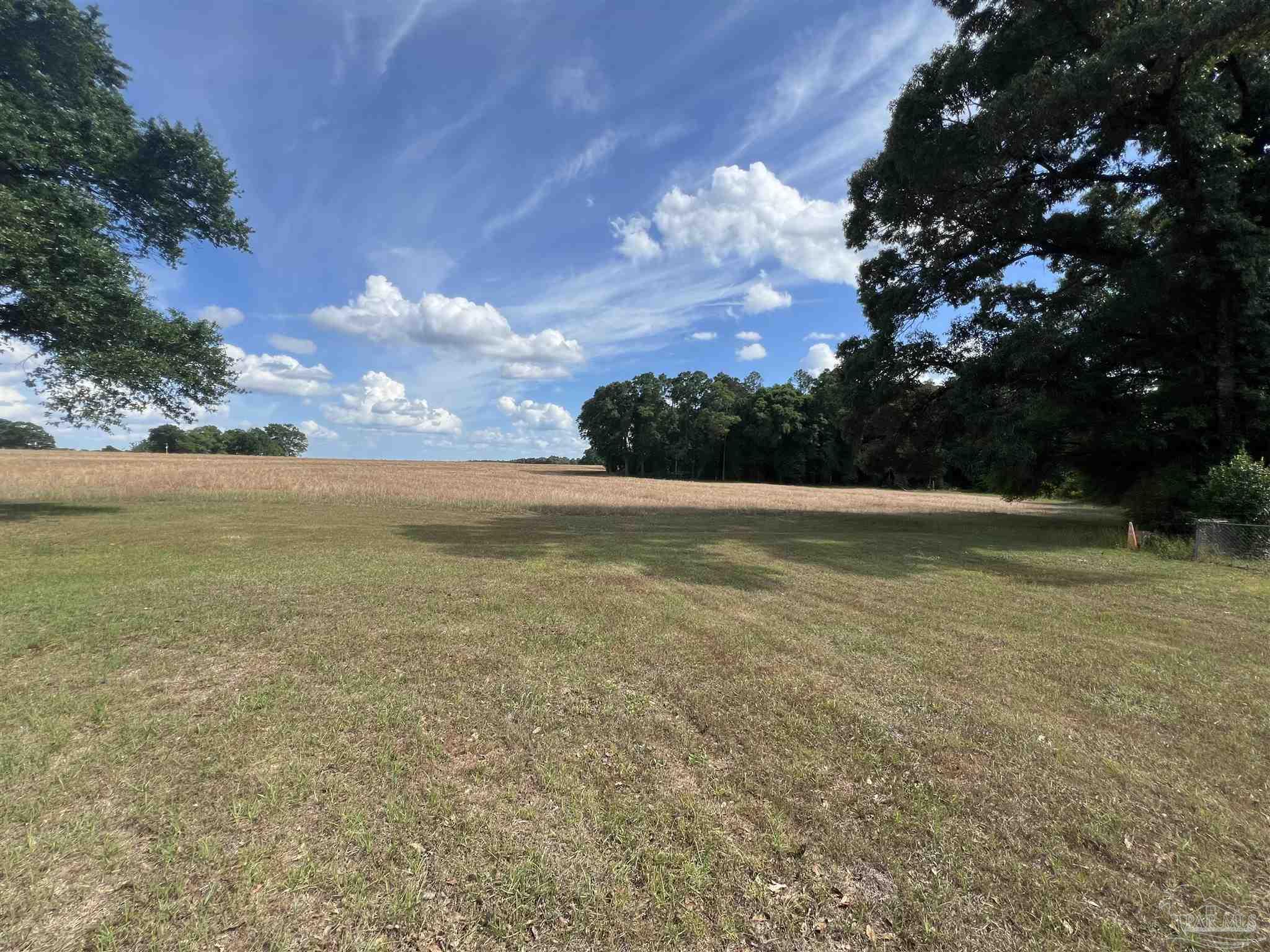 1616 Damascus Road Brewton, AL 36426 - Photo 4 of 29