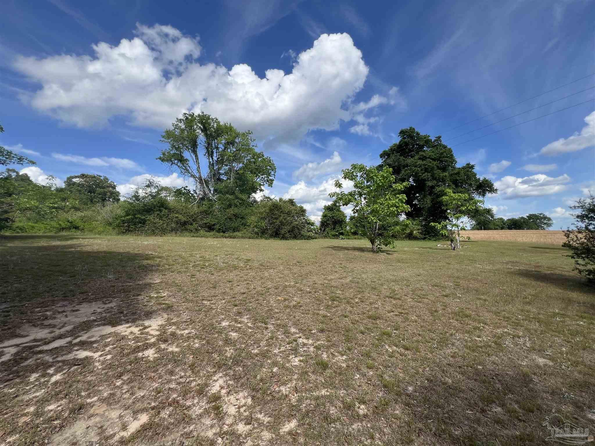 1616 Damascus Road Brewton, AL 36426 - Photo 7 of 29