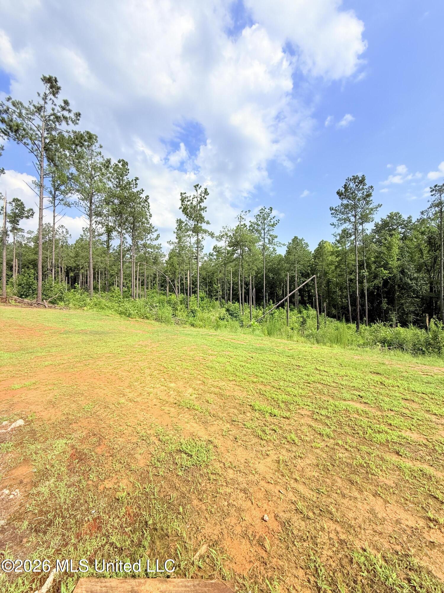 2495 Gore Springs Road Grenada, MS 38901 - Photo 19 of 20 IMG_9811