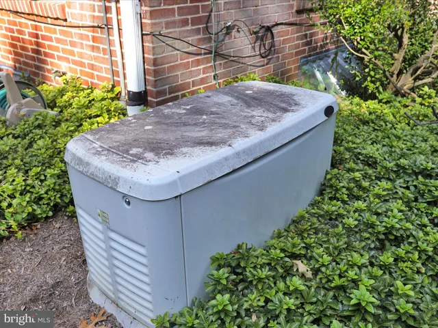 a view of a yard with plants