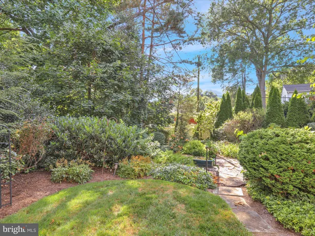 a view of a garden with plants and large trees
