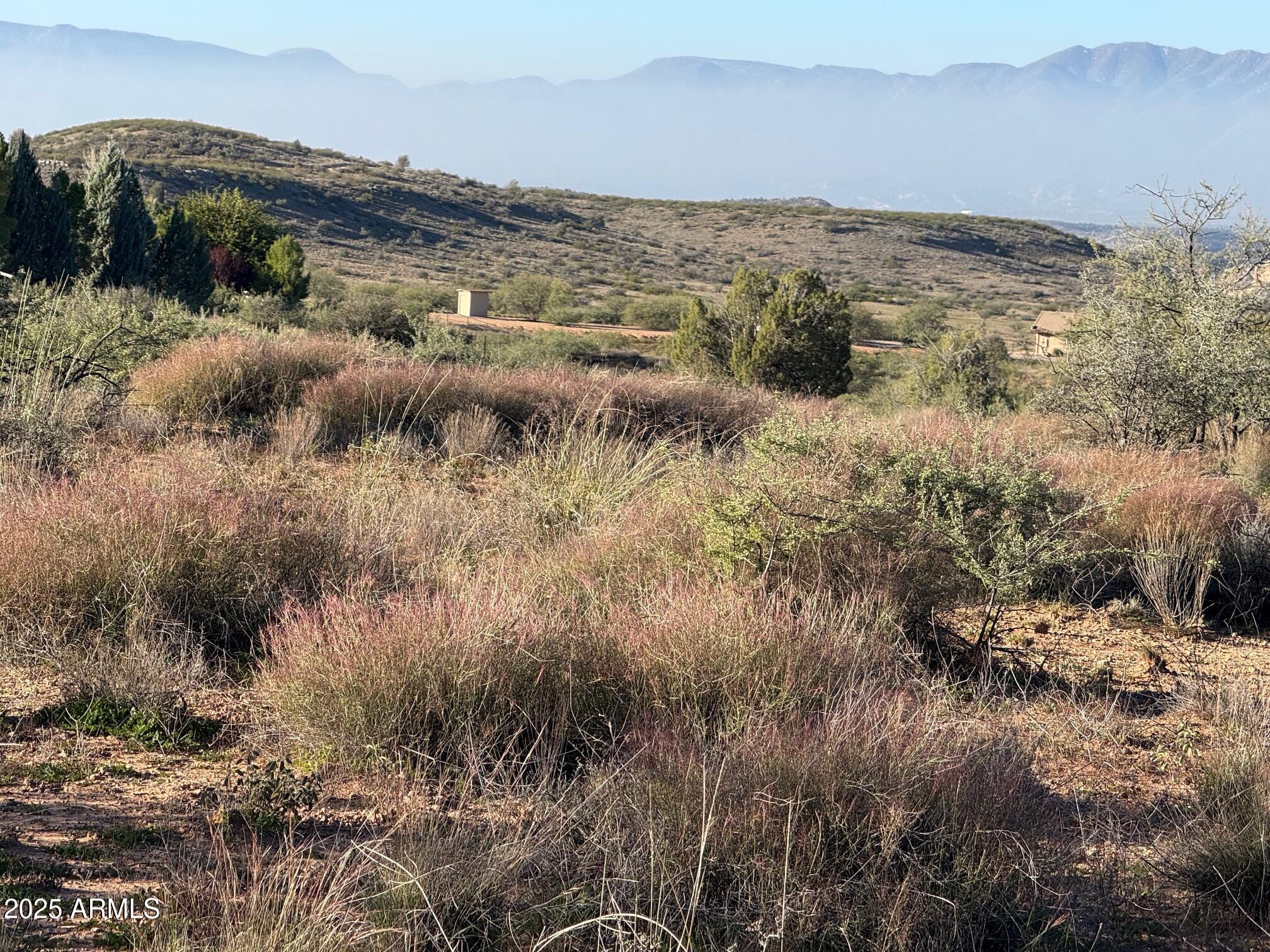 1790 Koch Ranch Road Cornville, AZ 86325 - Photo 6 of 17 a view of a bunch of trees and bushes