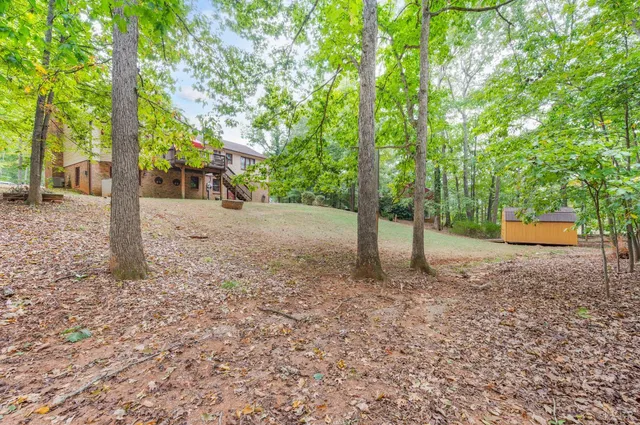 a view of a tree in the middle of a yard