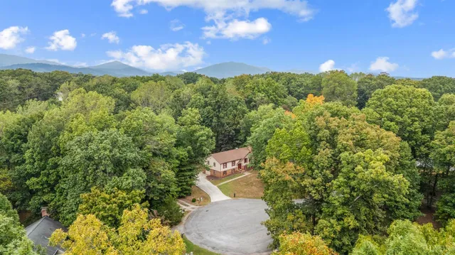 a view of a bunch of trees and a yard