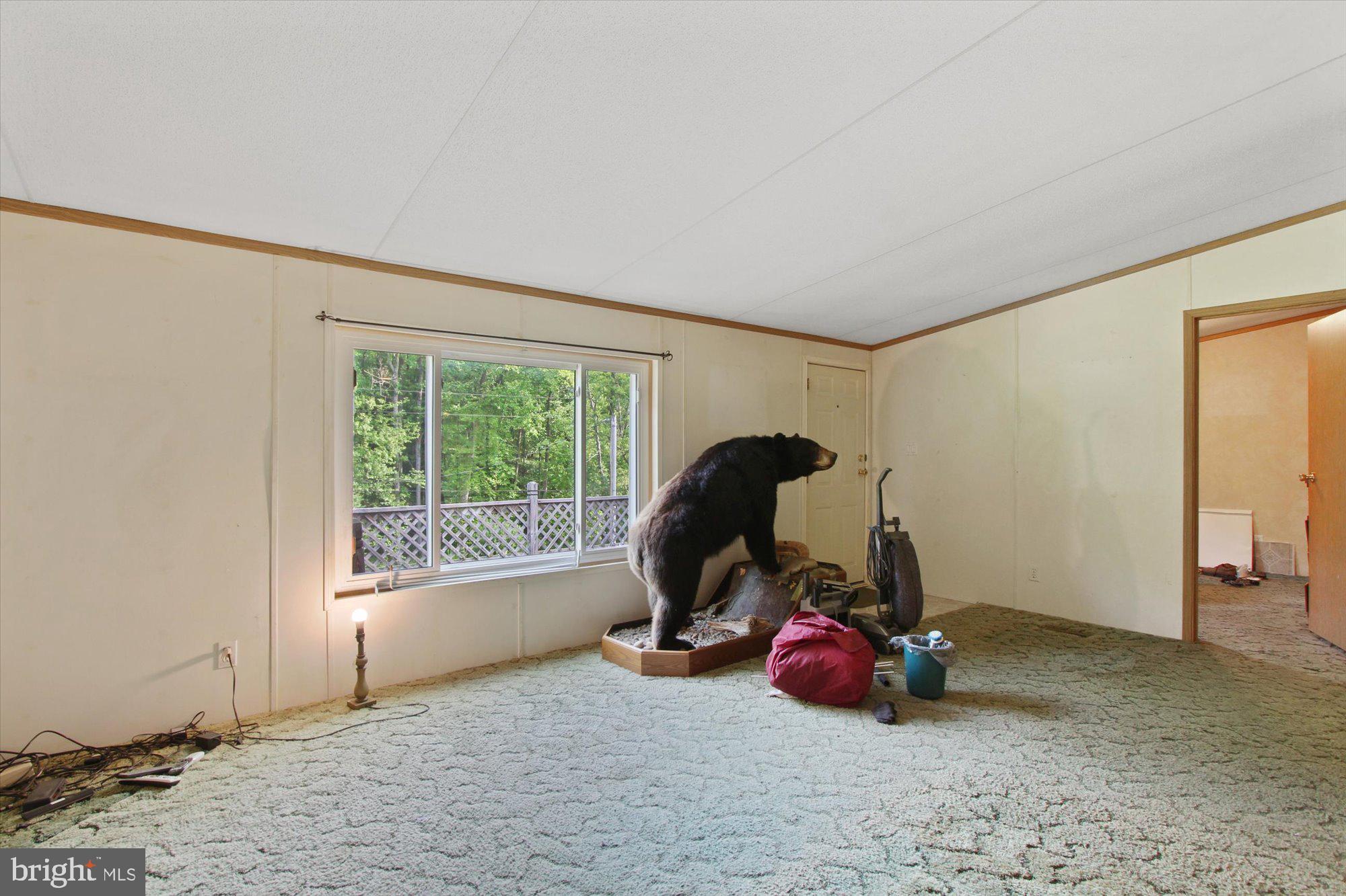 3286 Dettinger Road Brogue, PA 17309 - Photo 5 of 27 Gallery Image 5