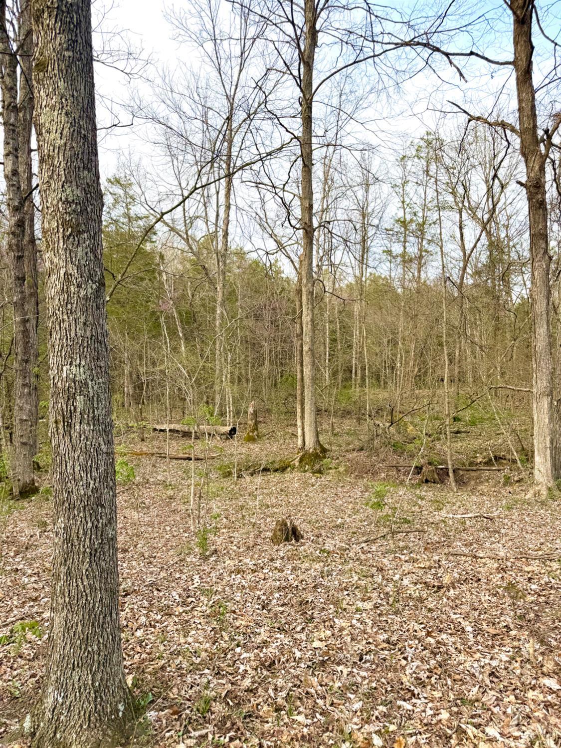 1600 Magee Jones Road Peebles, OH 45660 - Photo 48 of 91