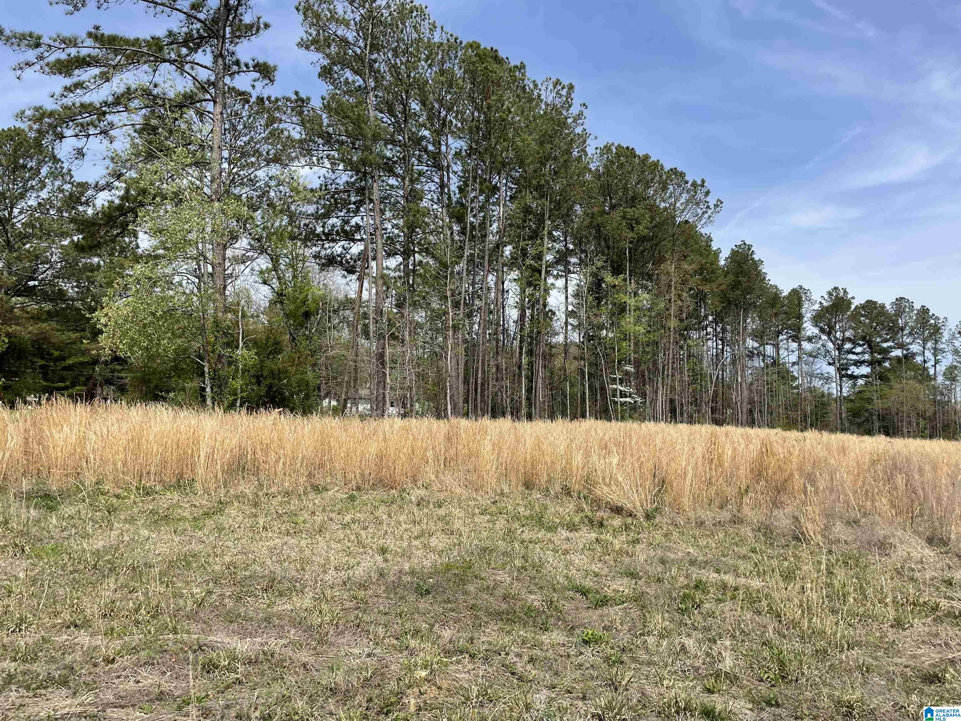 0 Greensport Road Ashville, AL 35953 - Photo 38 of 43