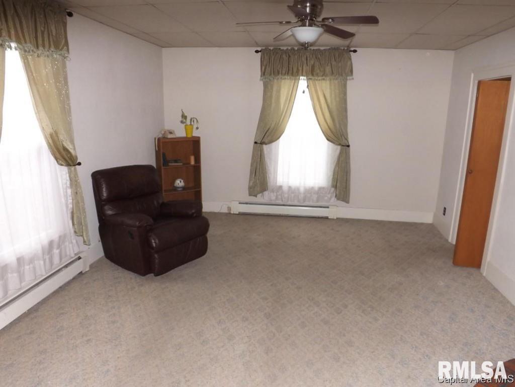 232 North Pilot Street Oneida, IL 61467 - Photo 13 of 23 Gallery Image 13