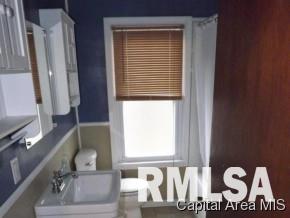 232 North Pilot Street Oneida, IL 61467 - Photo 18 of 23 Gallery Image 18