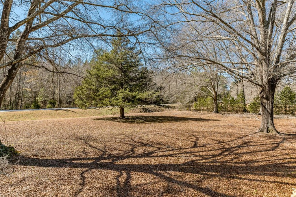 201 Wire Road Thomson, GA 30824 - Photo 8 of 54
