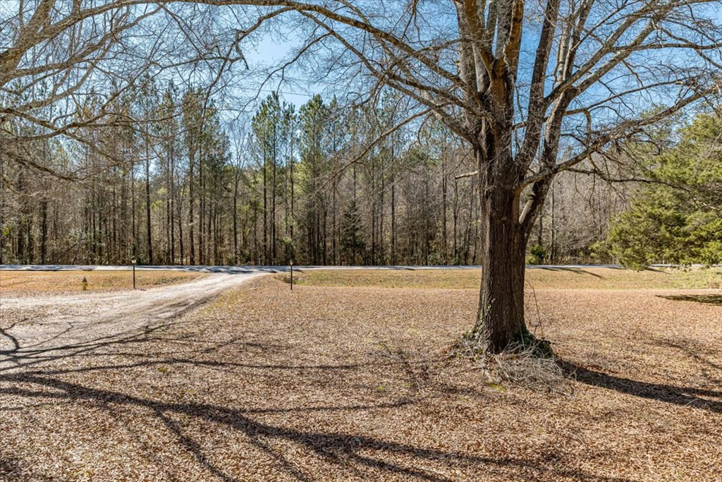 201 Wire Road Thomson, GA 30824 - Photo 9 of 54