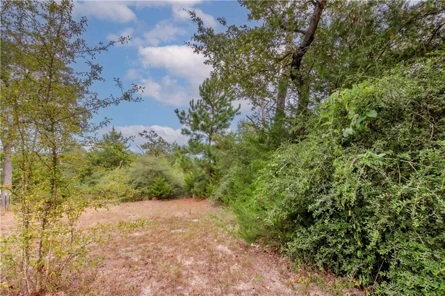 a view of a yard with a tree