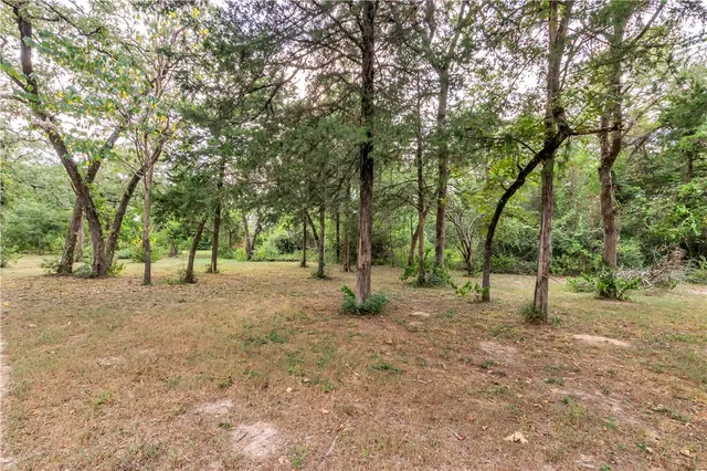 a view of outdoor space with trees