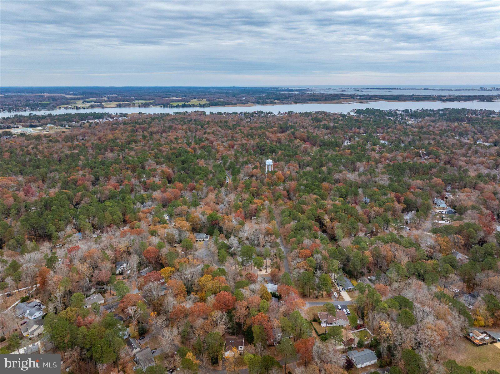 10 Harpoon Road Ocean Pines, MD 21811 - Photo 40 of 44 a view of an outdoor space with mountain view