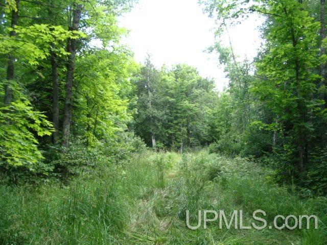 77-acres 77-acres Net River Dam Road Covington, MI 49919 - Photo 11 of 39