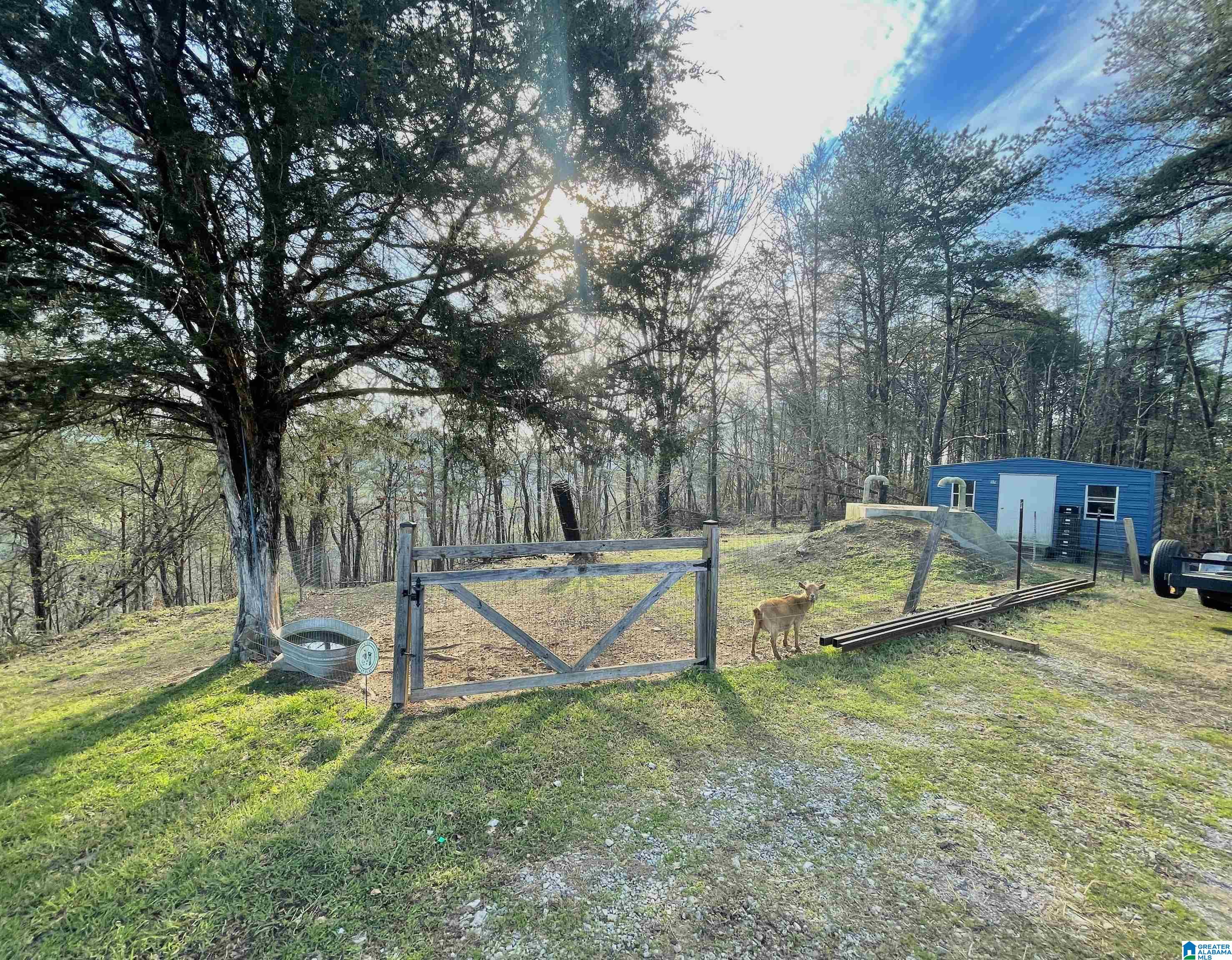 659 Hiawatha Road Calera, AL 35040 - Photo 9 of 59