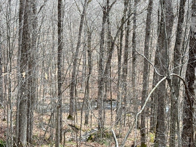 Harris Road Cincinnatus, NY 13040 - Photo 18 of 22 Gallery Image 18