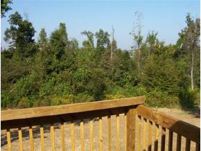 112 Bob Davis Road Gray, TN 37615 - Photo 7 of 9 Photo 7