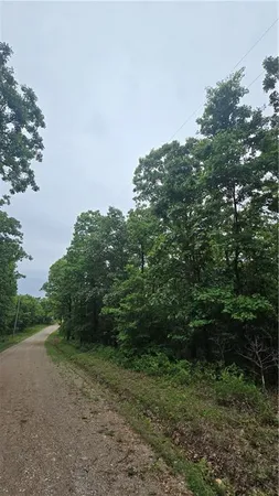 $10,500 | 1548 Astrid Loop, Edwards, MO 65326