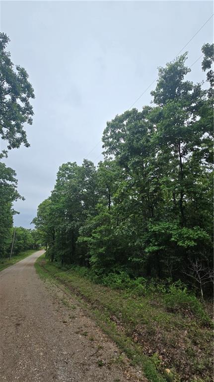 1548 Astrid Loop Edwards, MO 65326 - Photo 2 of 5