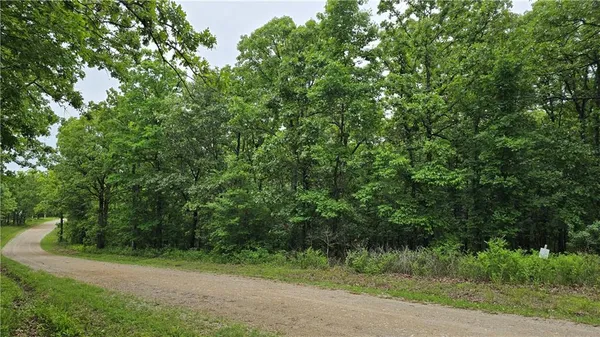 $10,500 | 1548 Astrid Loop, Edwards, MO 65326