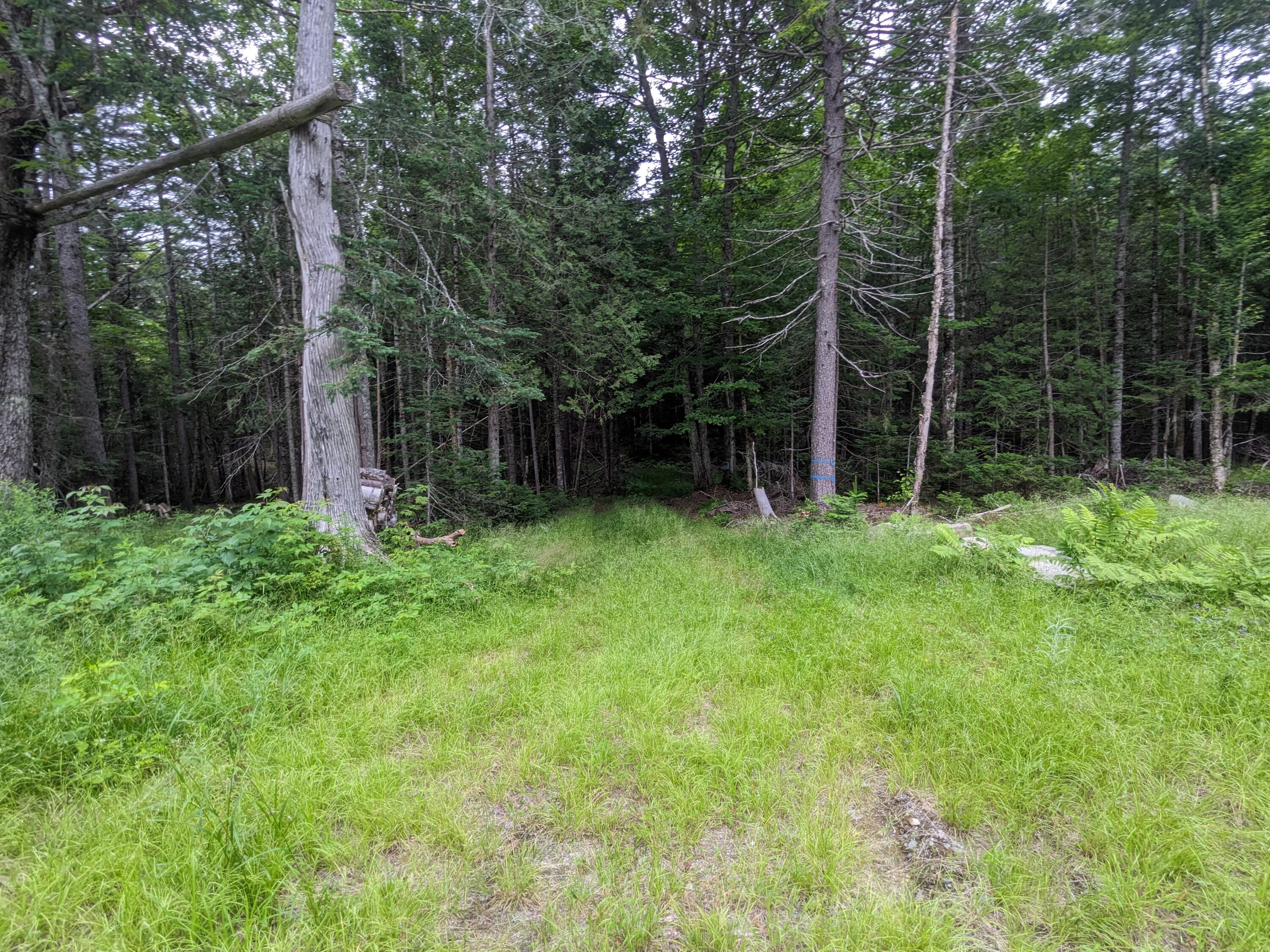 2 Greenville Road Shirley Mills, ME 04485 - Photo 4 of 40 PXL_20230715_212839657