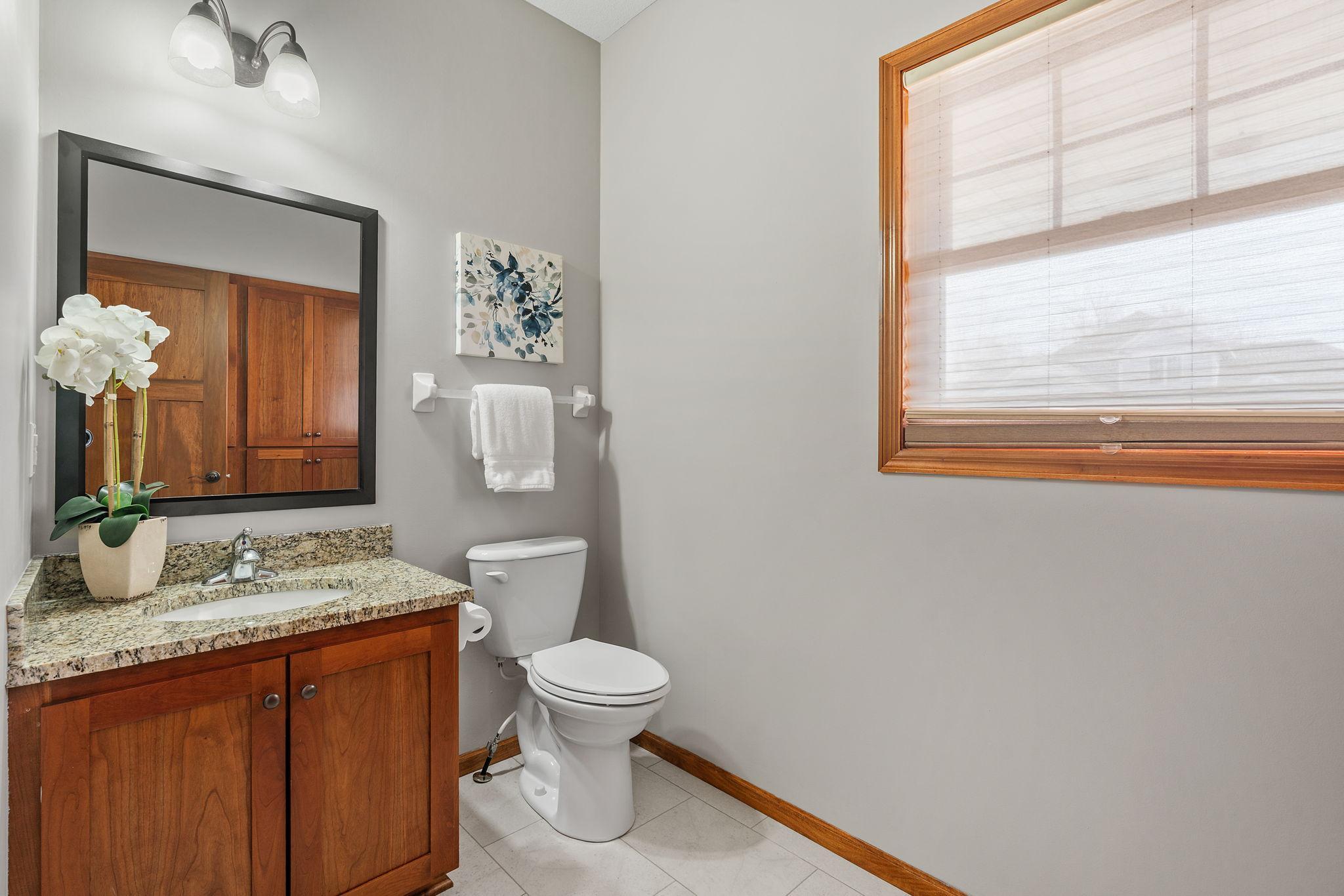 6364 Red Fox Road Lino Lakes, MN 55014 - Photo 30 of 92