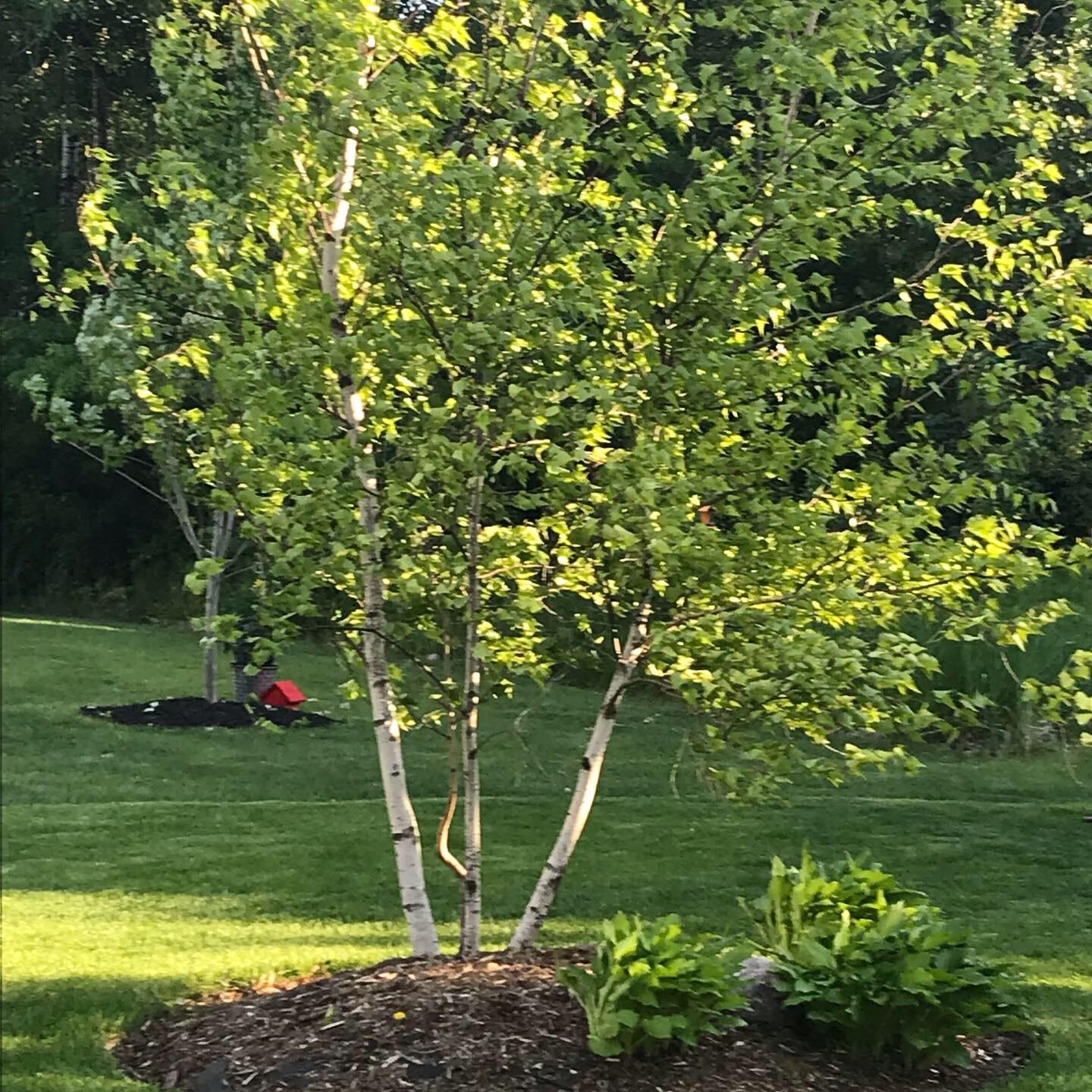 6364 Red Fox Road Lino Lakes, MN 55014 - Photo 77 of 92