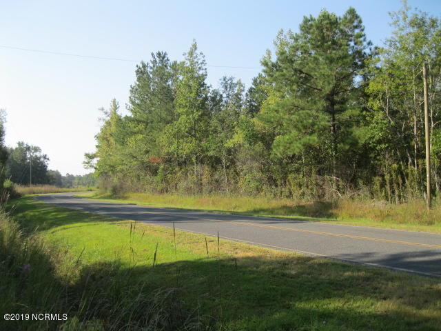 10-ac Money Hole Road Riegelwood, NC 28456 - Photo 11 of 15 10 ac e
