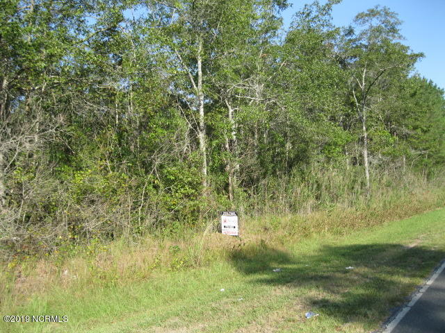 10-ac Money Hole Road Riegelwood, NC 28456 - Photo 13 of 15 10 ac g