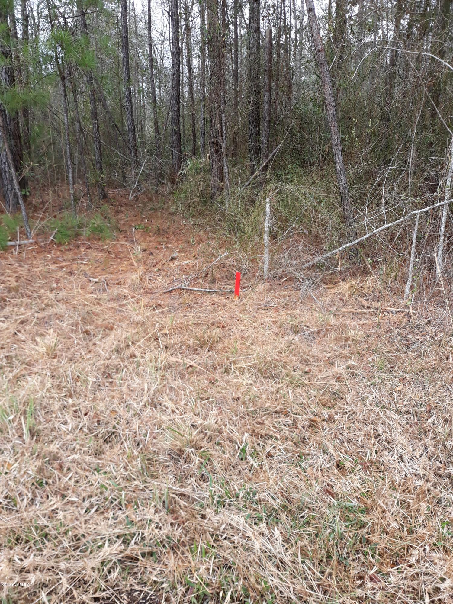 10-ac Money Hole Road Riegelwood, NC 28456 - Photo 15 of 15 10 acres north boundry