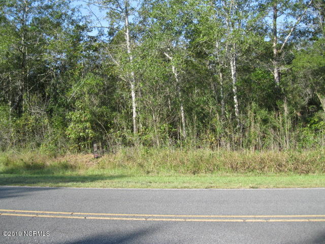 10-ac Money Hole Road Riegelwood, NC 28456 - Photo 9 of 15 10 ac c