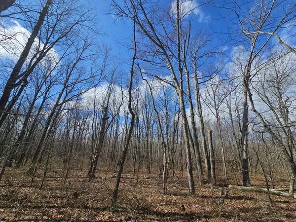 a view of a lake with mountain view