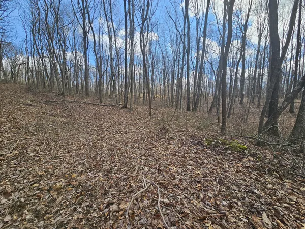a view of backyard with green space