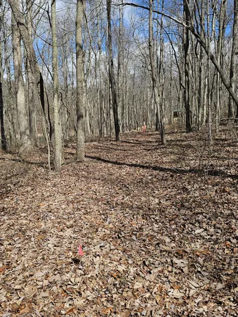 a view of a backyard of the house