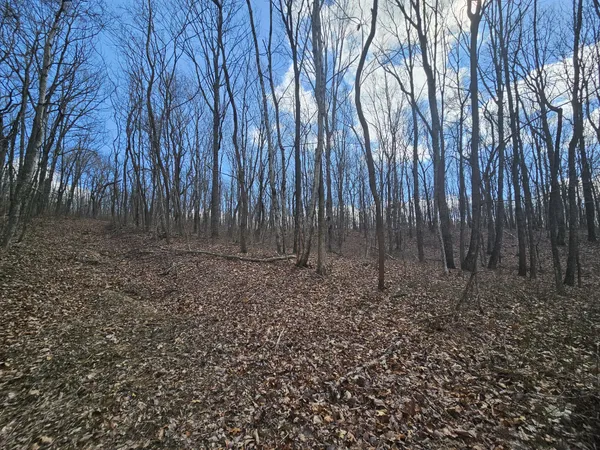 a view of a backyard of the house