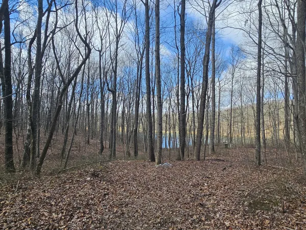 a view of backyard of house