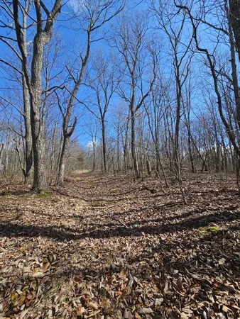 a backyard of a house