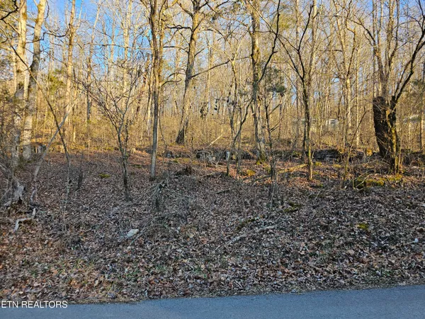 $20,000 | Blue Springs Road, Speedwell, TN 37870