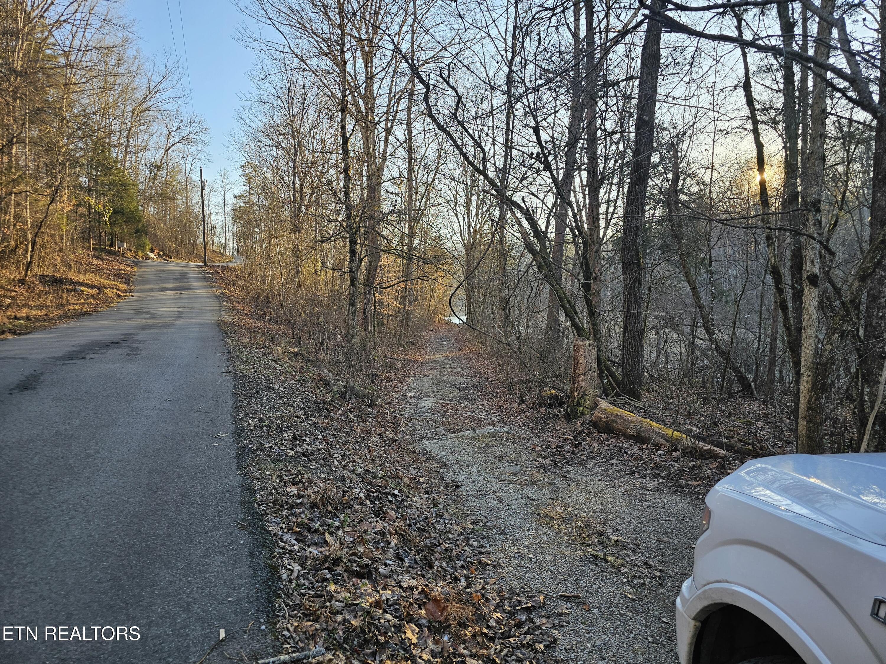 Blue Springs Road Speedwell, TN 37870 - Photo 6 of 6 20250109_163828