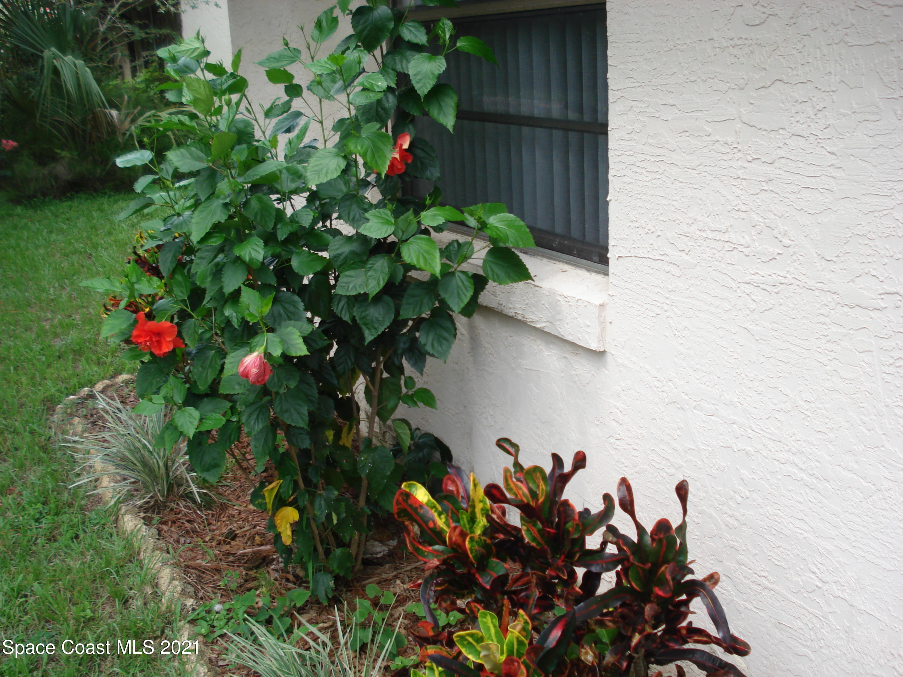 5620 Sisson Road Titusville, FL 32780 - Photo 9 of 22 DSC00521