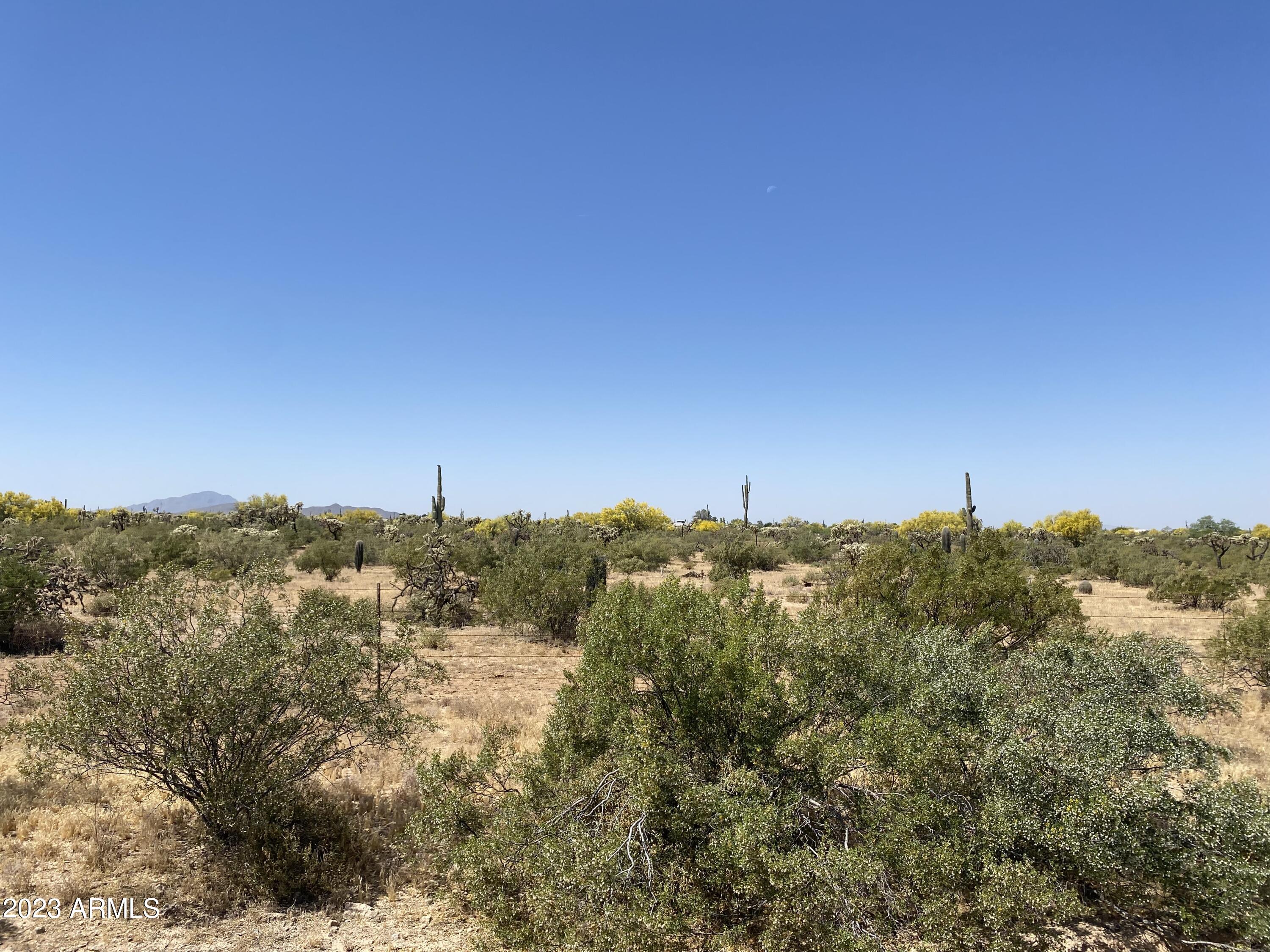 11-acres North Reed Road, Unit D Florence, AZ 85132 - Photo 10 of 40 IMG-2547 (1)