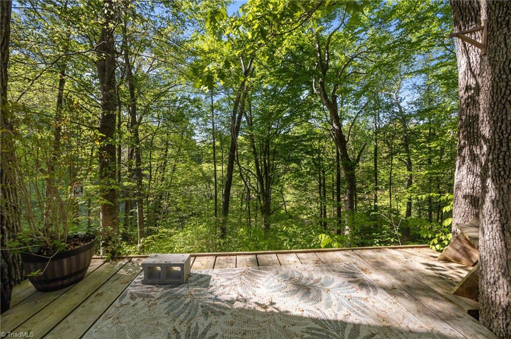 3310 Old Mill Farm Road Lexington, NC 27295 - Photo 26 of 42 Lookout spot to potentially put a Hot tub