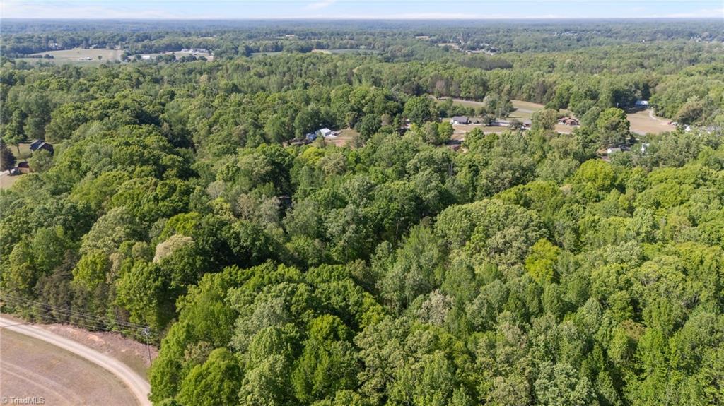 3310 Old Mill Farm Road Lexington, NC 27295 - Photo 41 of 42