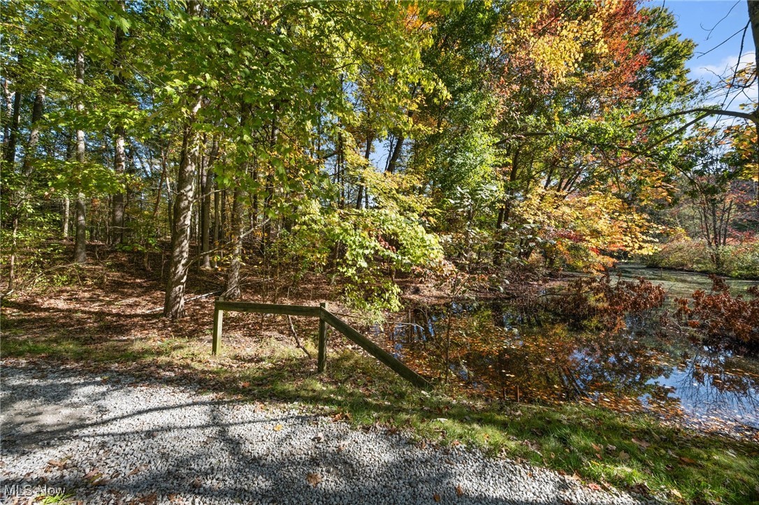 West Comet Road Clinton, OH 44216 - Photo 3 of 26 View of landscape