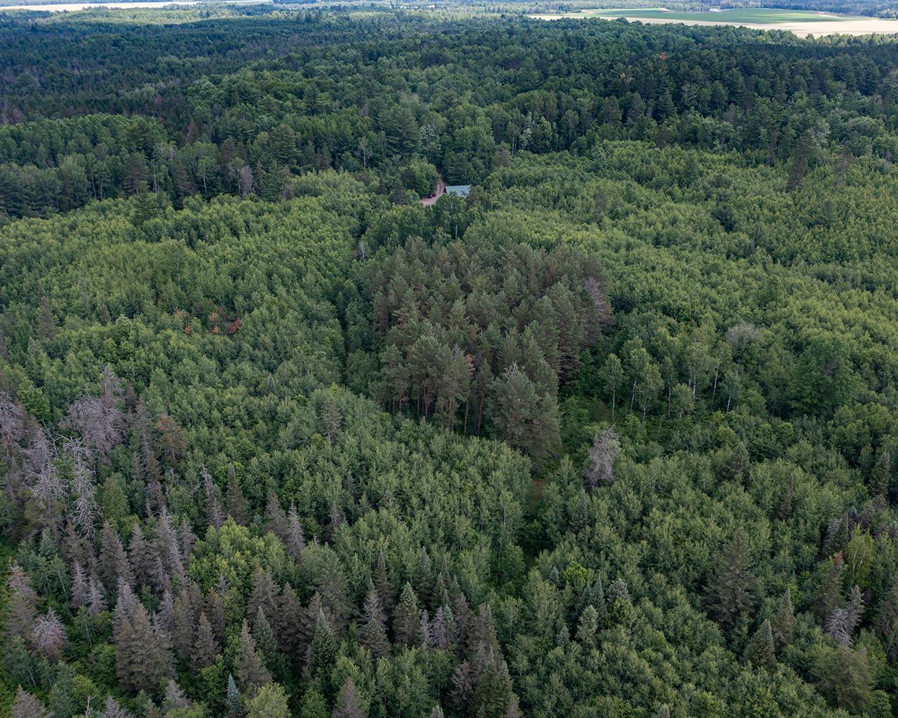 3145 Cross Country Road Rhinelander, WI 54501 - Photo 24 of 32 Gallery Image 24
