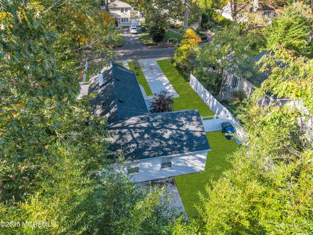 a view of a garden with plants